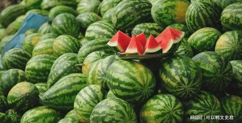 吃瓜西瓜广告,吃瓜西瓜，夏日清凉好伴侣