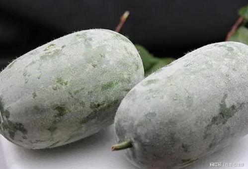 瓜姐在一线吃瓜,揭秘娱乐圈幕后风云