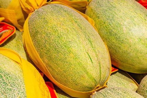 新疆伽师瓜怎么吃,尽享甜蜜滋味