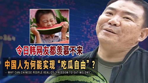 能实现吃瓜自由吗,揭秘现代生活的甜蜜诱惑与自由边界