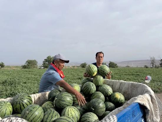 张大堡吃瓜,揭秘娱乐圈幕后故事