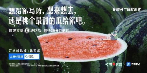 饭后吃瓜文案怎么写,生活更精彩