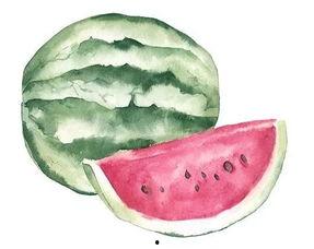 卿月吃瓜,揭秘娱乐圈背后的那些事儿