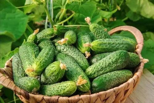 医院吃大瓜,揭秘医疗界的“大瓜”事件