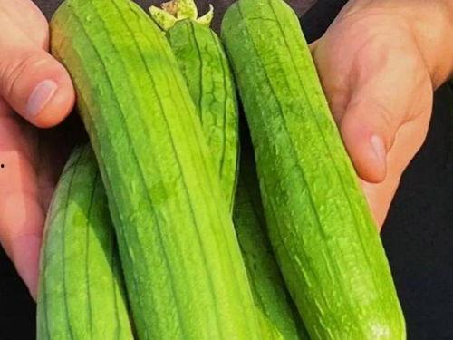 夏天吃三瓜是哪三瓜呢,夏日消暑三瓜推荐