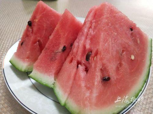 台州上海吃瓜,趣味横生