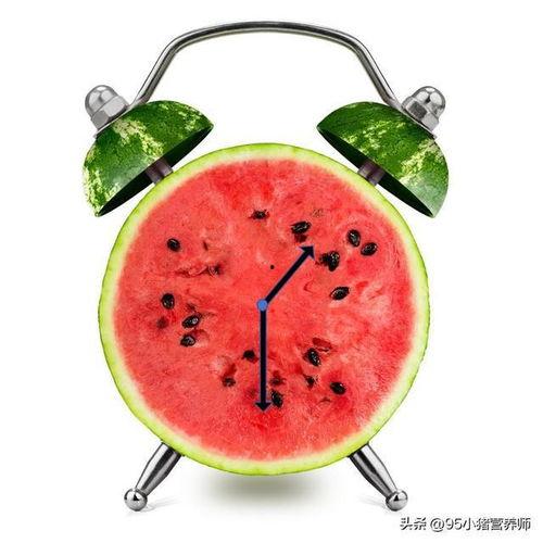 快乐指南吃瓜,轻松吃瓜，畅享生活乐趣