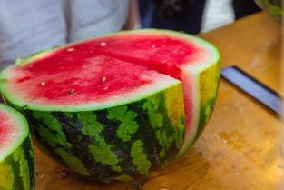 大学马院吃瓜,揭秘大学马院吃瓜背后的故事