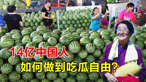 哪个国家吃瓜自由,哪个国家民众享有真正的“吃瓜自由”？
