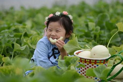 吃瓜嘴笑出血,盘点那些爆笑至极的瞬间