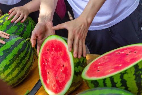 青岛大学 吃瓜,揭秘校园热点事件背后的故事