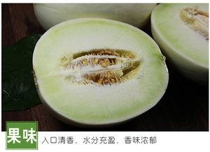 吃瓜网9.9,揭秘娱乐圈最新热点事件