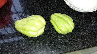 葫芦瓜怎么吃兔儿瓜