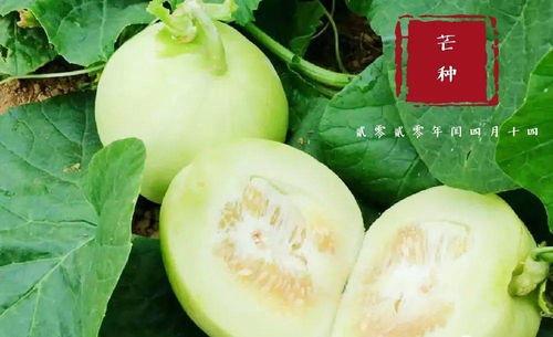 济宁翰林府吃瓜