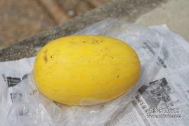 云南瑞丽大妈吃瓜,一场别开生面的乡村盛宴