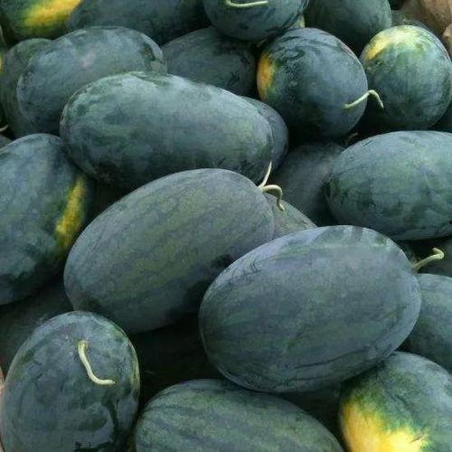 吃瓜要去籽吗图片,轻松享受美味无渣体验