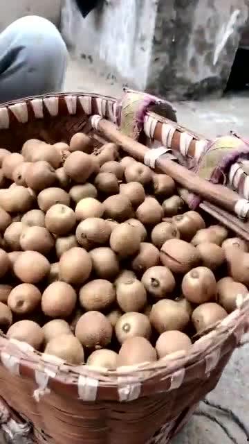 捡野生瓜吃,探寻野生瓜果的天然美味之旅