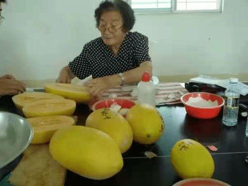 吃瓜基地的圈子,圈内热点事件深度解析