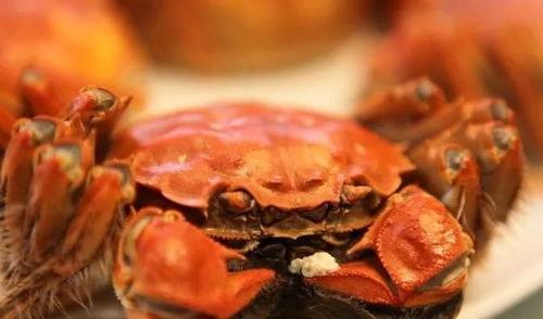 吃瓜哥卖螃蟹视频